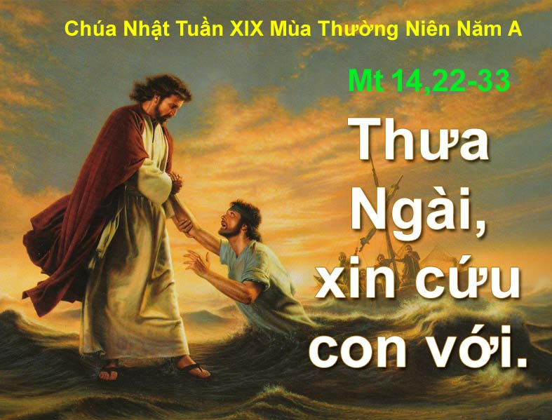 09.08.2020 – Chúa Nhật XIX Thường Niên Năm A
